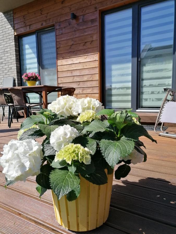 Geltoni Apartamentai Паланга Екстер'єр фото